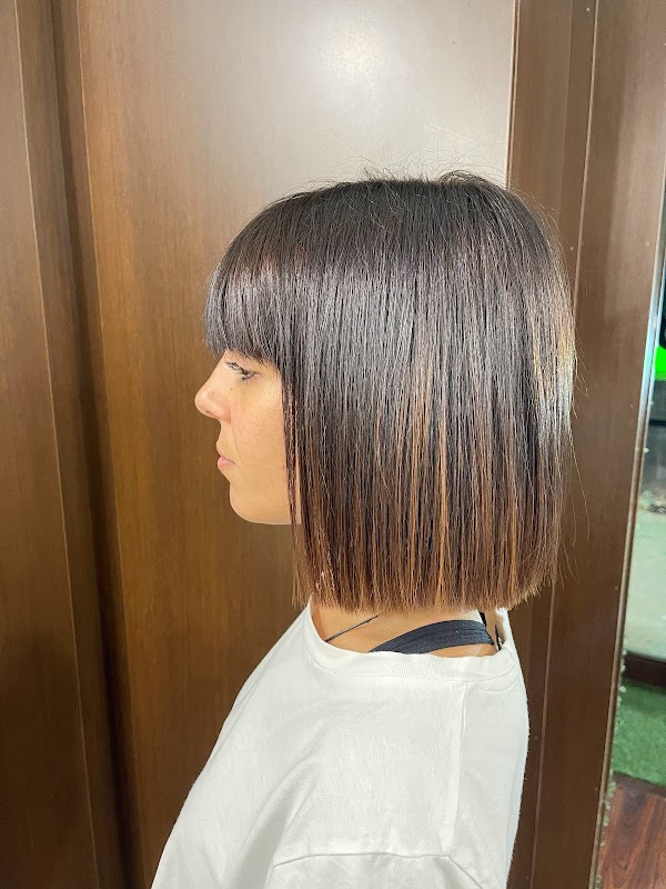 Servicios SEO ESTILISTAS